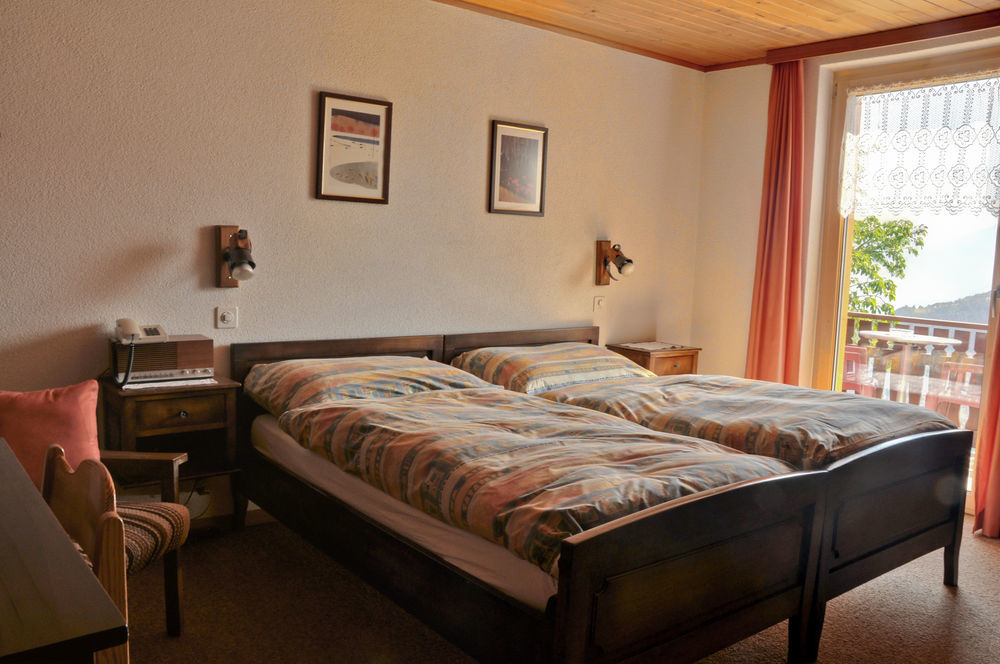 Hotel Alpenblick Zeneggen Ngoại thất bức ảnh